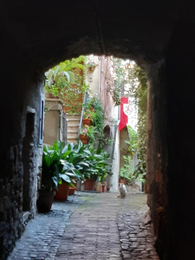 Historical Domus Apartment Anagni Luaran gambar