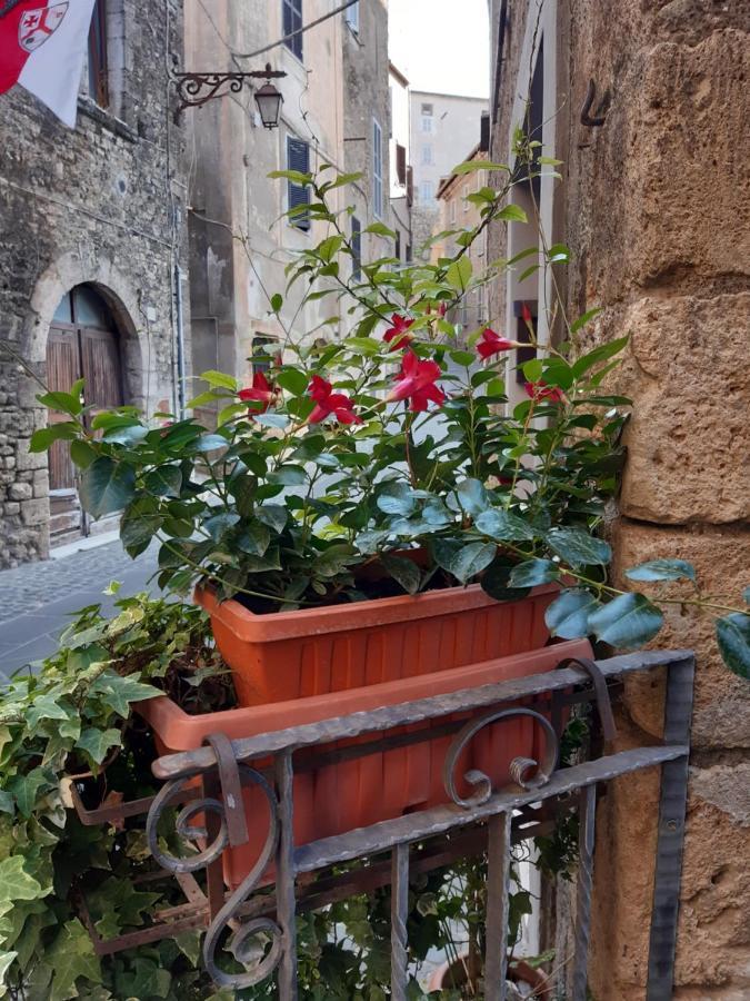 Historical Domus Apartment Anagni Luaran gambar